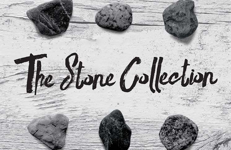 LOCAL AUTHOR KATERI AKIWENZIE-DAMM LAUNCHES NEW BOOK: THE STONE COLLECTION