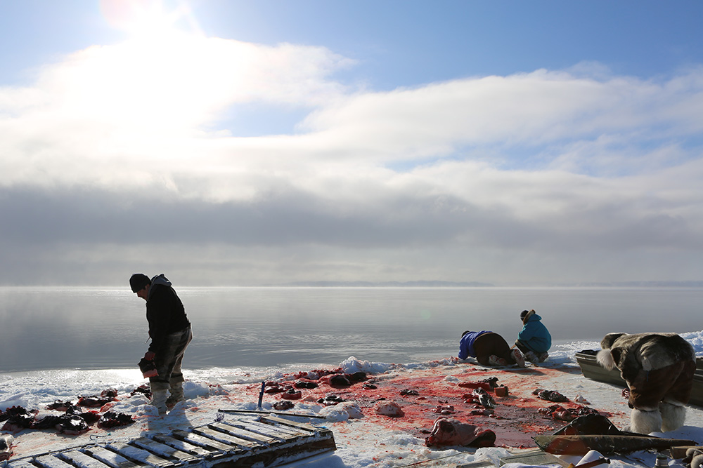 Isuaqtuq, Joannie and Perry Ikkidluak butchering bearded seal | Image source: Alethea Arnaquq-Baril