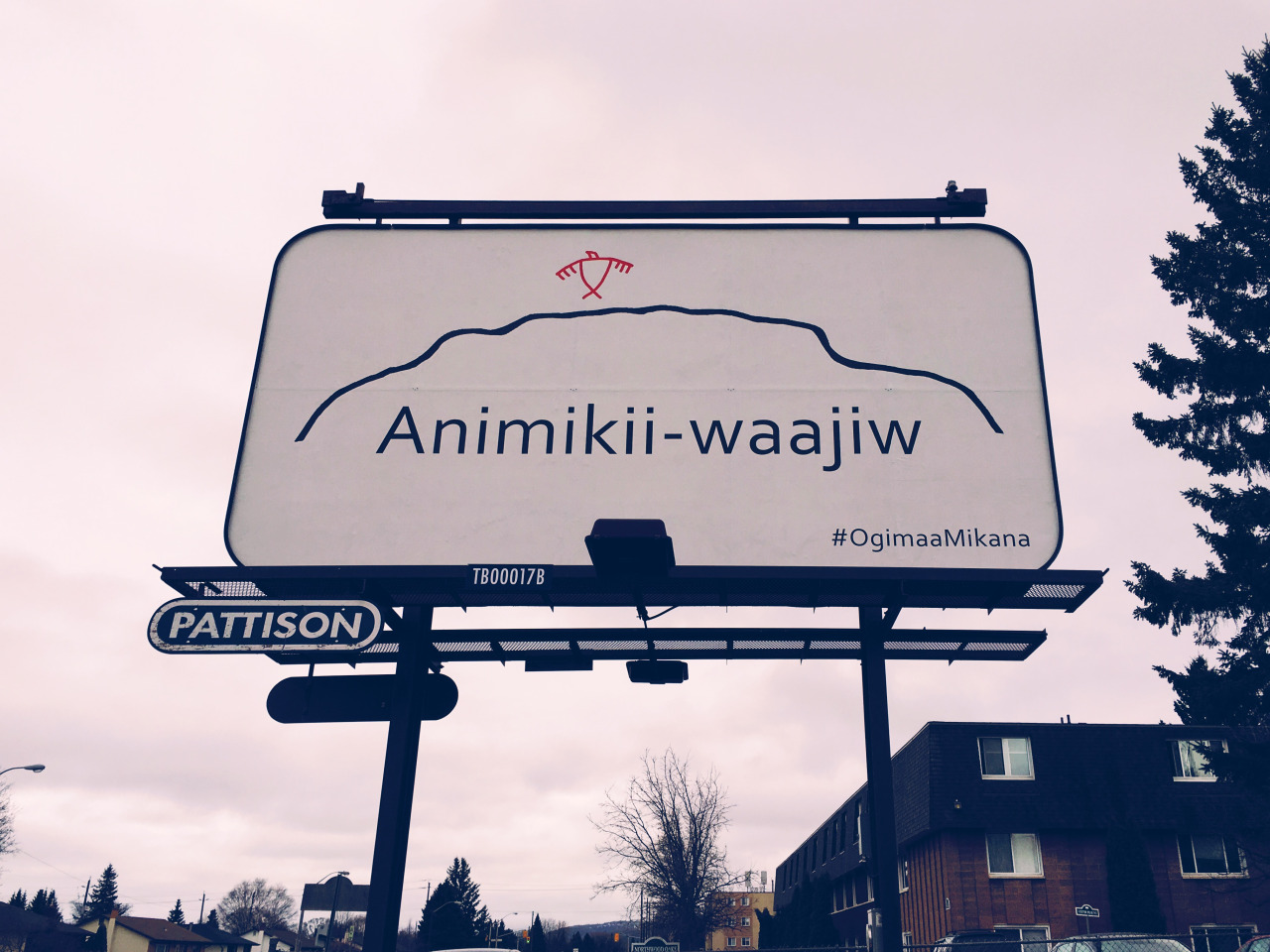 ANIMIKII-WAAJIW SIGN UP IN FORT WILLIAM THROUGH THE OGIMAA MIKANA PROJECT